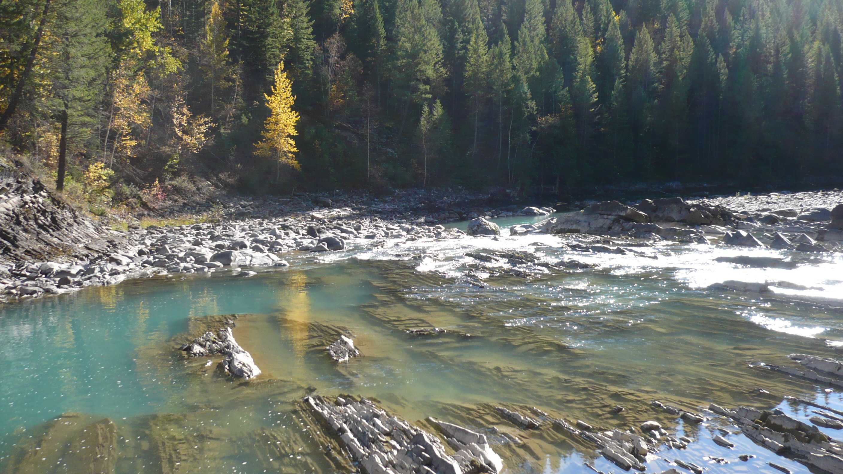 Bull River Trout Fishing, Cranbrook BC BC Fishn