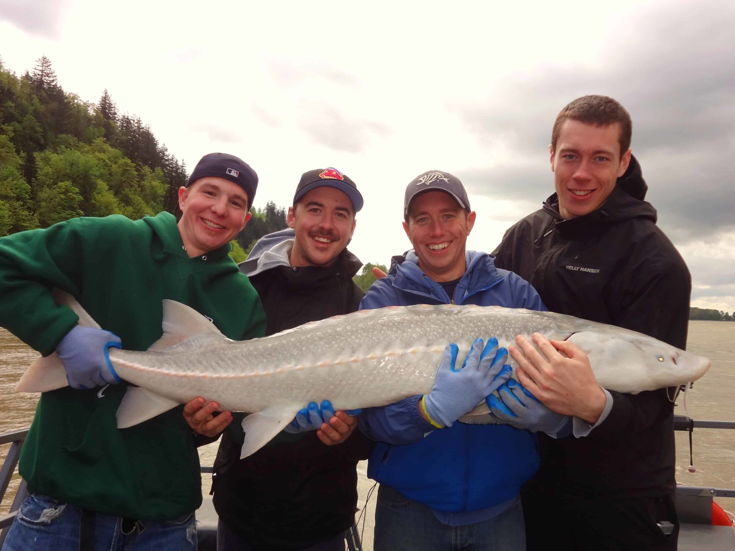 Spring Sturgeon on the Fraser River - BC Fishing Journal