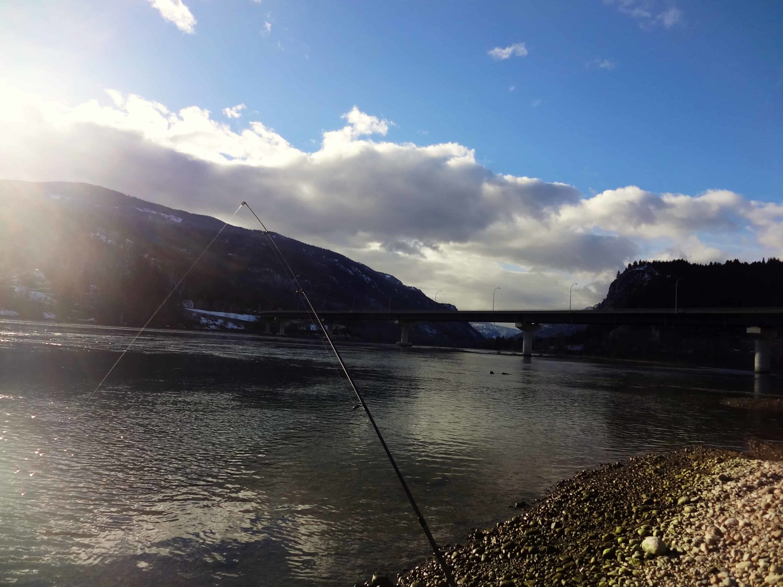 Barbless hooks required Jan. 1 on much of Columbia River