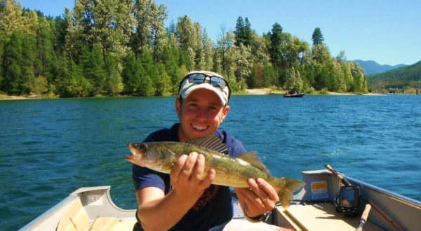 Bc Walleye Fishing - Columbia River Castlegar - Bc Fishn