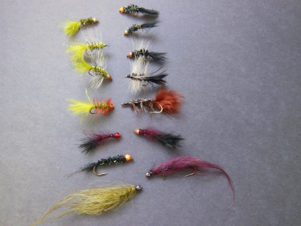 Selecting the Correct Fly Pattern - BC Fishn